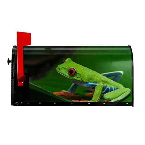 Briefkasten-Abdeckung, mit rotem Augen, Frosch-Druck, für Frühling, Sommer, magnetisch, 53,3 x 45,7 cm, für Zuhause, Garten, Hof, Dekoration