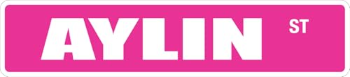 Metallschild Aylin, 10,2 x 40,6 cm, Metall, originelles Straßenschild