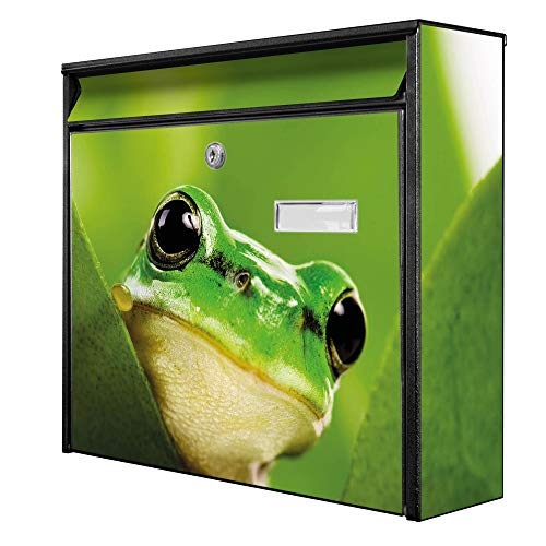 banjado® Burg-Wächter® Briefkasten mit Motiv Frosch/Briefkasten ohne Zeitungsfach 32x36x10 cm groß/Briefkasten mit Namensschild A4 Einwurf inkl. Montagematerial & 2 Schlüsseln