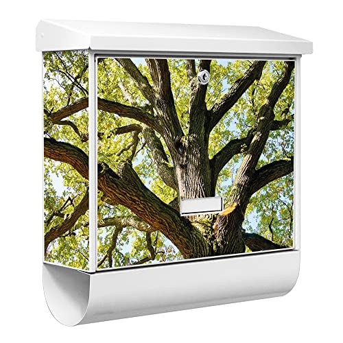 banjado® Burgwächter Briefkasten Weiß 38x39x12cm mit Motiv Eiche/Briefkasten mit Zeitungsfach/Briefkasten mit Zeitungsrolle/Postkasten inkl. Montagematerial & 2 Schlüsseln