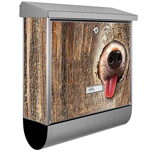 banjado® Burgwächter Briefkasten Edelstahl 38x39x12cm mit Motiv Rumschnüffeln/Briefkaste n Edelstahl ohne Zeitungsfach/Briefkasten grau/Postkasten inkl. Montagematerial & 2 Schlüsseln