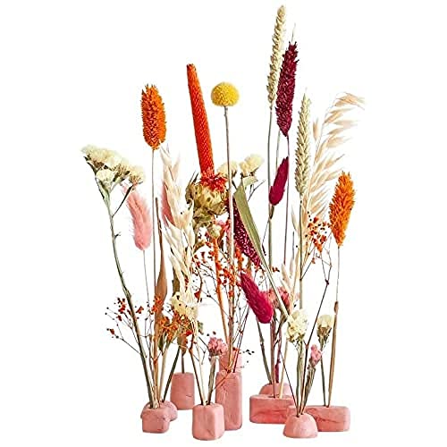 BloomPost Bloom & Clay Terra - Briefkasten Trockenblumen - Terracotta - Ton (250 g) + 2 x Spachtel - Länge Trockenblumen +/- 30 cm - Das originelle Briefkastengeschenk