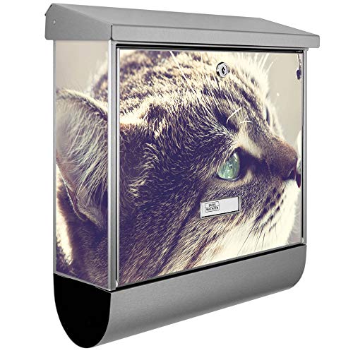 banjado® Burgwächter Briefkasten Edelstahl 38x39x12cm mit Motiv Weidenkätzchen/Briefkast en Edelstahl ohne Zeitungsfach/Briefkasten grau/Postkasten inkl. Montagematerial & 2 Schlüsseln