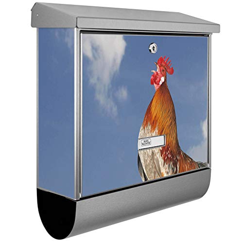 banjado® Burgwächter Briefkasten Edelstahl 38x39x12cm mit Motiv Hahn/Briefkasten Edelstahl ohne Zeitungsfach/Briefkasten grau/Postkasten inkl. Montagematerial & 2 Schlüsseln