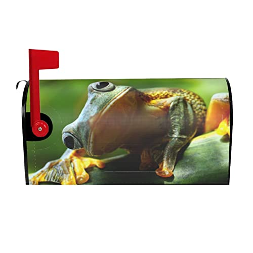 Briefkasten-Abdeckung, Grüner Frosch, wasserdicht, für Standardgrößen oder große Briefkästen 53,3 x 45,7 cm