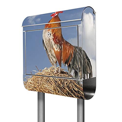 banjado® Standbriefkasten Edelstahl mit Zeitungsfach Motiv Hahn/Briefkasten mit Standfuß/Edelstahl Briefkasten freistehend - A4 Einwurf inkl. 2 Schlüssel