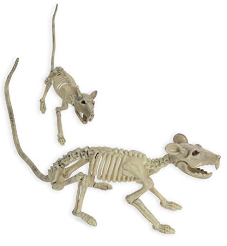KarnevalsTeufel Ratten Fossil Deko Halloween Grusel Nagetier Skelett Knochengerüst außergewöhnlich erschreckend
